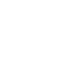 Ensure accuracy Icon